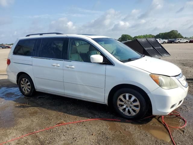 2009 Honda Odyssey EXL