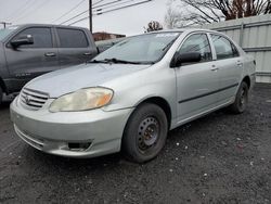 Toyota Corolla salvage cars for sale: 2004 Toyota Corolla CE