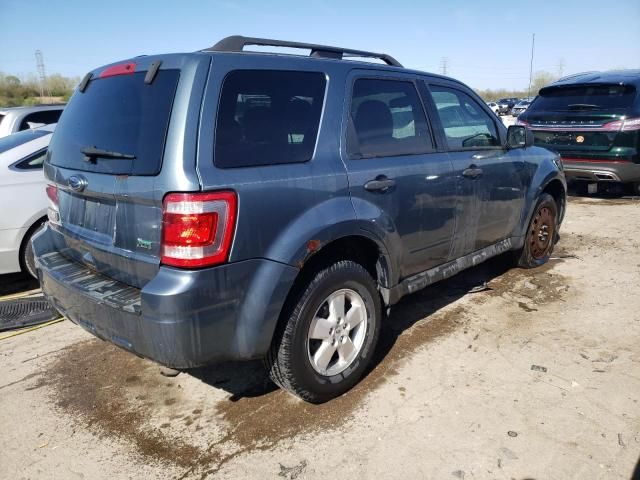 2010 Ford Escape XLT