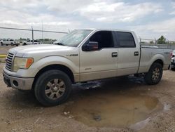 Vehiculos salvage en venta de Copart Houston, TX: 2011 Ford F150 Supercrew
