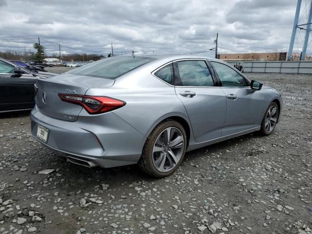 2021 Acura TLX Advance