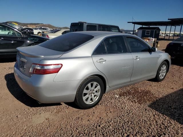 2009 Toyota Camry Hybrid