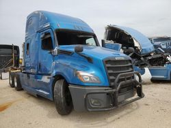 Salvage trucks for sale at Abilene, TX auction: 2020 Freightliner Cascadia 126