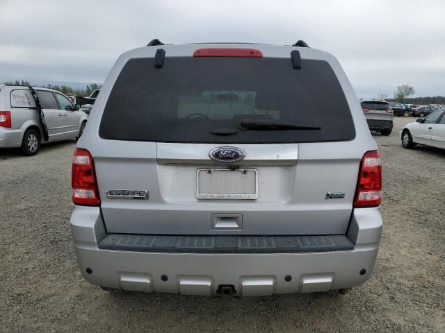 2011 Ford Escape Limited