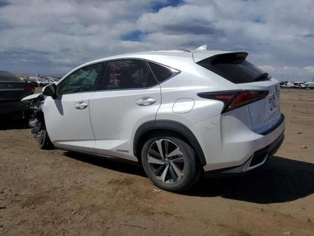 2019 Lexus NX 300H