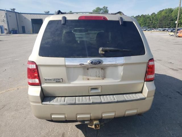 2010 Ford Escape Limited