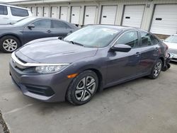 Carros dañados por granizo a la venta en subasta: 2017 Honda Civic LX