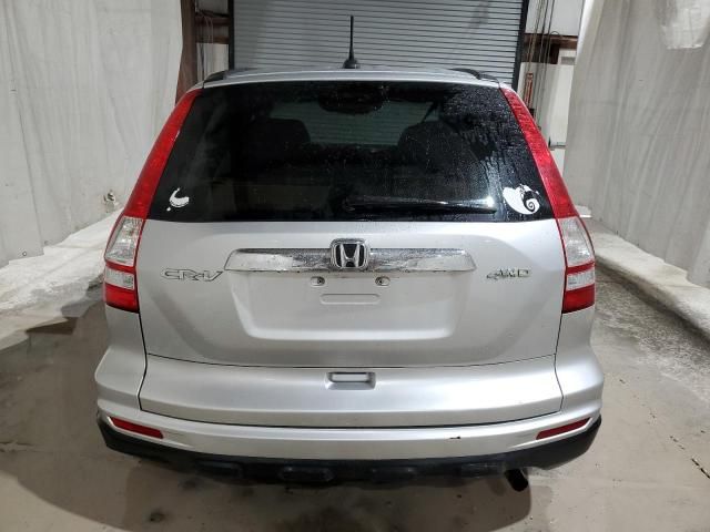 2010 Honda CR-V EXL