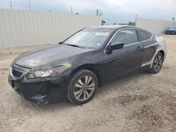 Salvage cars for sale at Temple, TX auction: 2010 Honda Accord EXL