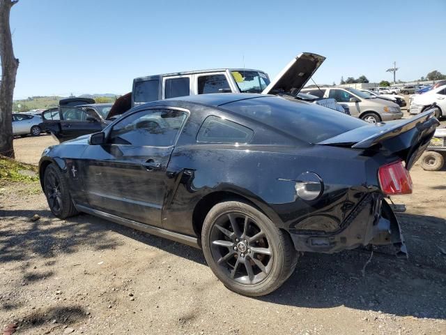 2010 Ford Mustang