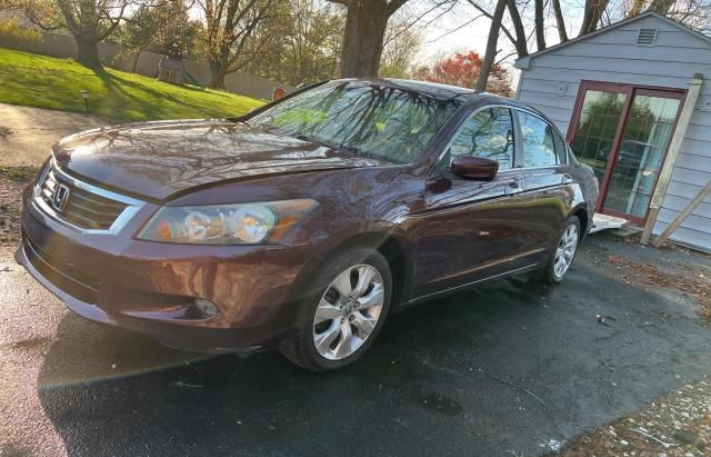 2010 Honda Accord EXL