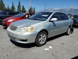 Toyota Corolla CE salvage cars for sale: 2003 Toyota Corolla CE