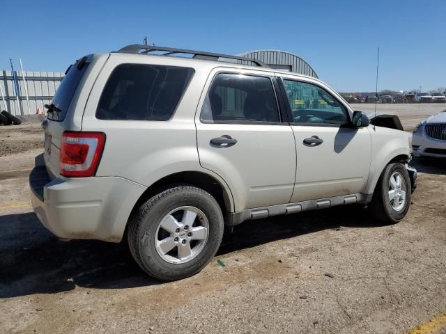 2009 Ford Escape XLT