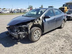 Salvage cars for sale at Eugene, OR auction: 2019 Toyota Corolla L
