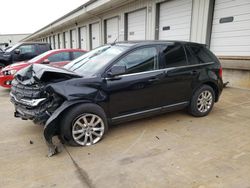 Salvage cars for sale at Louisville, KY auction: 2011 Ford Edge Limited