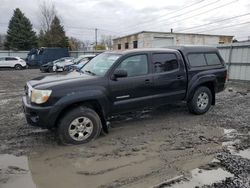 Salvage trucks for sale at Albany, NY auction: 2008 Toyota Tacoma Double Cab