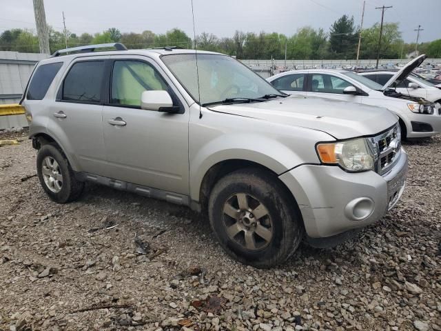 2009 Ford Escape Limited