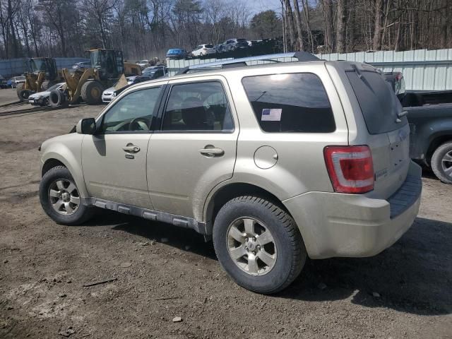 2011 Ford Escape Limited