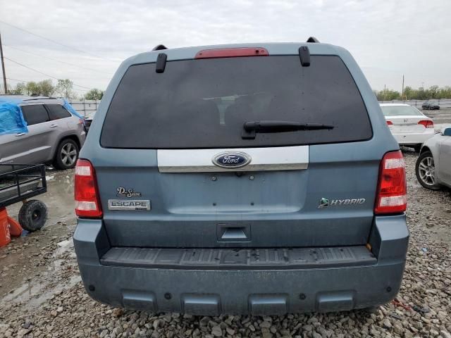 2010 Ford Escape Hybrid