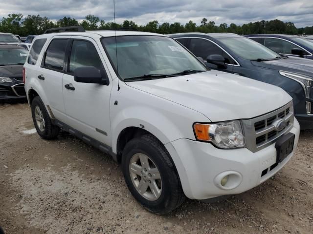 2008 Ford Escape HEV