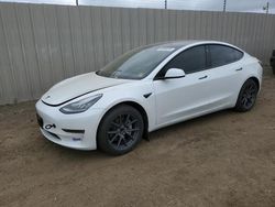 Salvage cars for sale from Copart San Martin, CA: 2019 Tesla Model 3