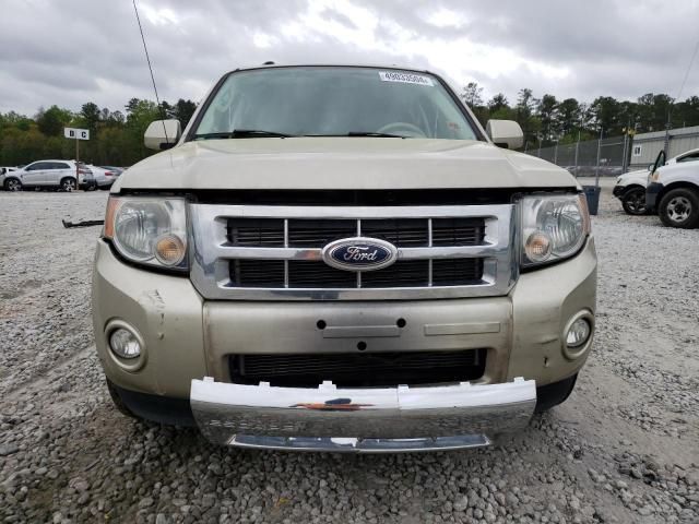 2010 Ford Escape Limited