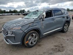 Vehiculos salvage en venta de Copart Newton, AL: 2022 Hyundai Santa FE SEL