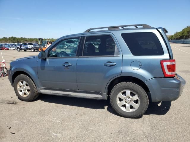 2010 Ford Escape Limited