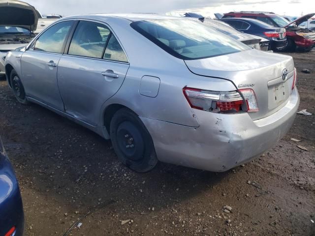 2009 Toyota Camry Hybrid