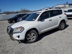 Salvage cars for sale at Albany, NY auction: 2010 Toyota Rav4