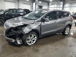 Salvage cars for sale at Ham Lake, MN auction: 2013 Ford Escape SEL