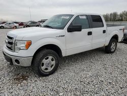 Salvage cars for sale at Wayland, MI auction: 2014 Ford F150 Supercrew