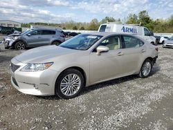 Salvage cars for sale from Copart Memphis, TN: 2015 Lexus ES 350