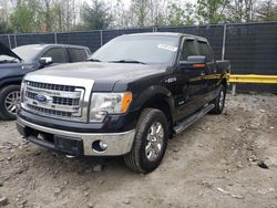 Salvage cars for sale from Copart Waldorf, MD: 2014 Ford F150 Supercrew