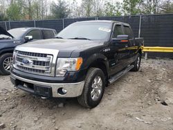 Ford salvage cars for sale: 2014 Ford F150 Supercrew