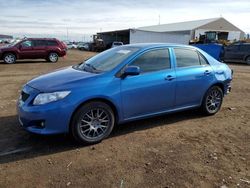 Salvage cars for sale from Copart Brighton, CO: 2010 Toyota Corolla Base