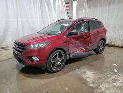 Salvage cars for sale from Copart Central Square, NY: 2019 Ford Escape SEL