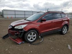 Salvage cars for sale from Copart Appleton, WI: 2014 Ford Escape SE