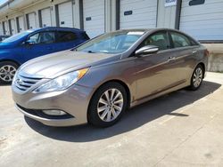 Salvage cars for sale at Louisville, KY auction: 2014 Hyundai Sonata SE