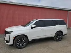 Buy Salvage Cars For Sale now at auction: 2021 Cadillac Escalade Sport Platinum