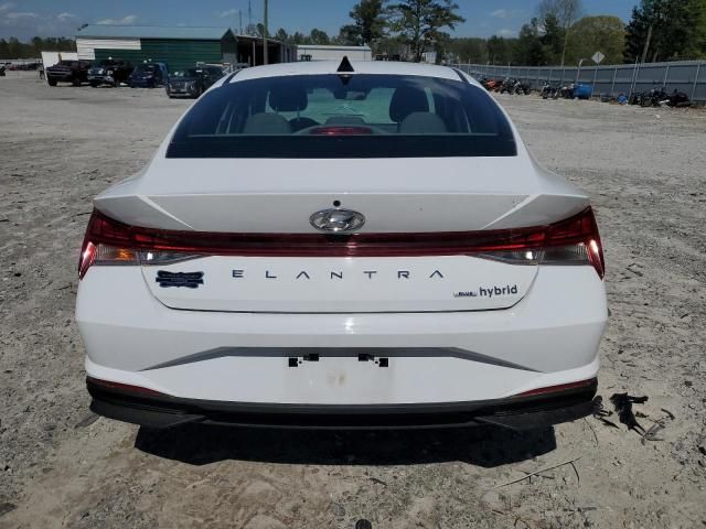 2023 Hyundai Elantra Blue