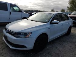 Salvage cars for sale at Arlington, WA auction: 2013 Volkswagen Jetta Hybrid