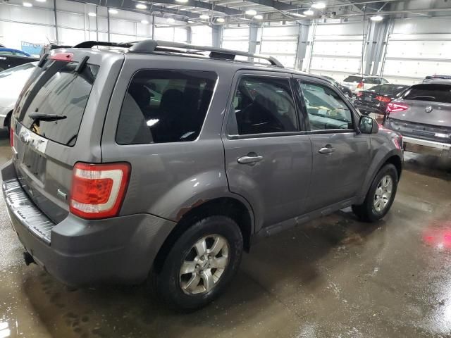 2010 Ford Escape Limited