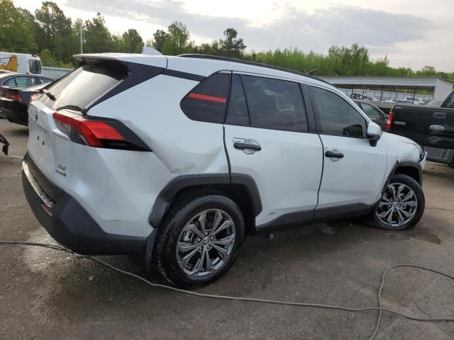 2024 Toyota Rav4 XLE Premium