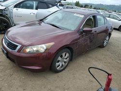 Salvage cars for sale from Copart San Martin, CA: 2010 Honda Accord EXL