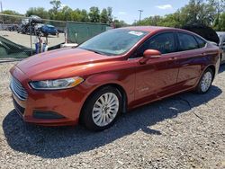 2014 Ford Fusion SE Hybrid for sale in Riverview, FL