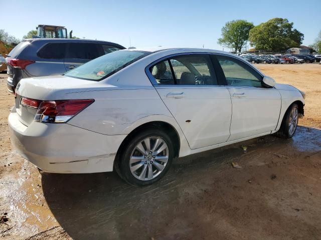 2011 Honda Accord EXL