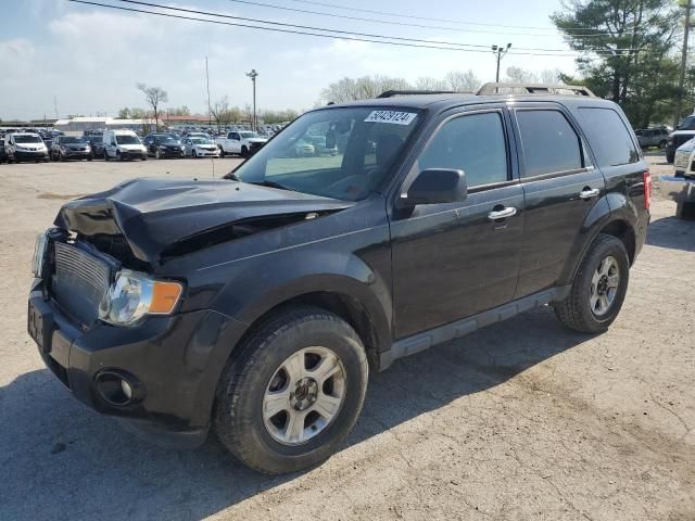 2010 Ford Escape XLT