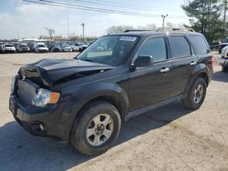 Salvage cars for sale from Copart Lexington, KY: 2010 Ford Escape XLT