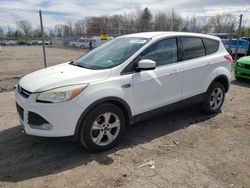 Ford Escape salvage cars for sale: 2013 Ford Escape SE